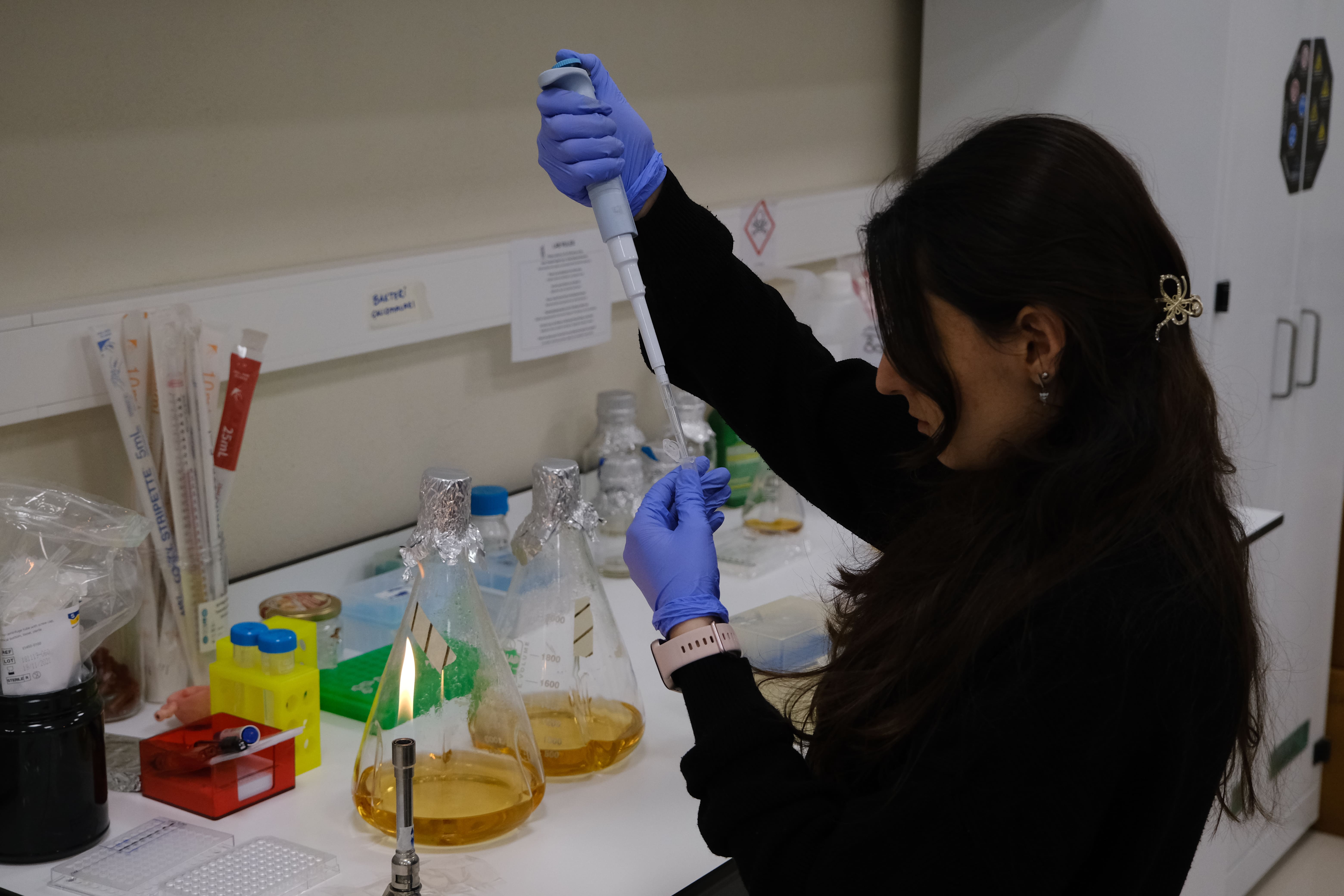 Lab work